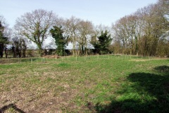 Common Road smee 2010