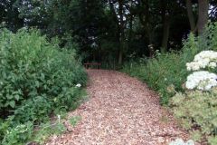 Common-Road-smee-2010-013