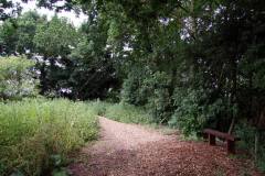 Common-Road-smee-2010-014