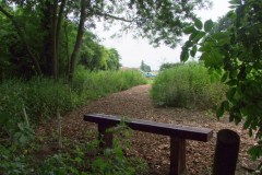 Common-Road-smee-2010-016