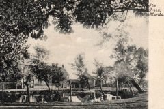 1906 Cranes-Green-pond
