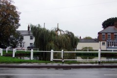 2010 willow in storm