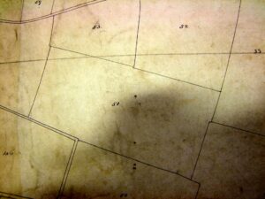 1842-Martham-Tithe-Map-101