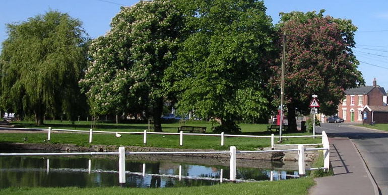 Village Centre pond. 2015