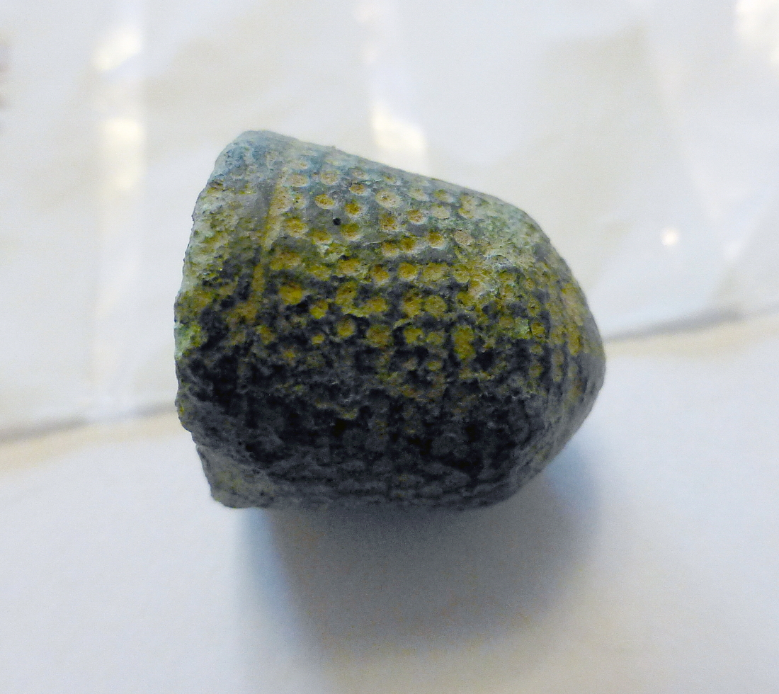 Medieval beehive thimble