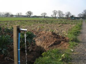 New water supply 2010