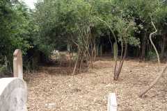 Soon after clearance in 2008