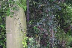 Graveyard before clearance in 2008