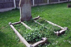 Plot-6