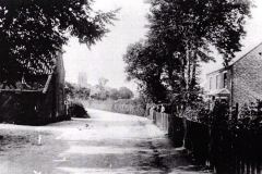 Black Street, Martham