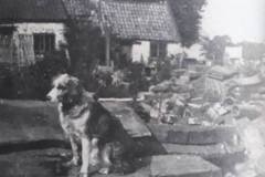 Black Street former cottage & Floss