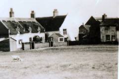 Fish & Chip Shop, The Green
