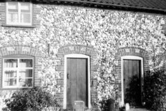 Stone Cottages, Cess. Home of John Turner