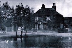 Yew Tree Cottage, Back Lane