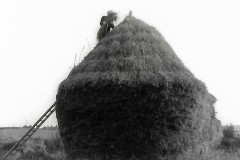 Church Farm 1978. George Gislam
