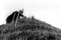 Church Farm 1978. George Gislam