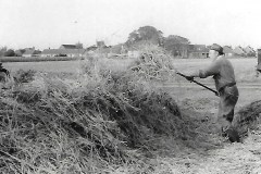 Sam Warnes at Church Farm 1978