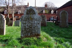 DSCF6661