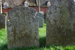 DSCF6662a