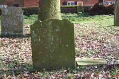 DSCF6679