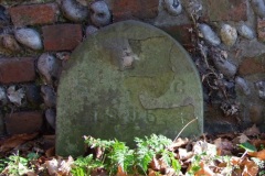 DSCF6695