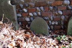 DSCF6697