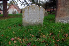 DSCF8117