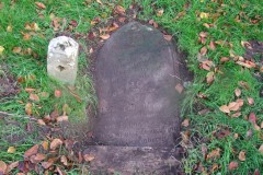 DSCF8119