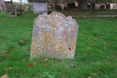 DSCF8126