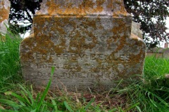 DSCF8129