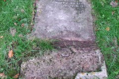 DSCF8132
