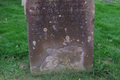DSCF8133