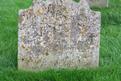 DSCF8145
