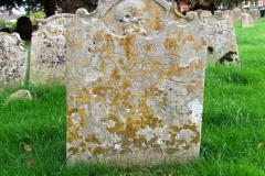 DSCF8146