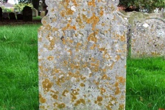 DSCF8147