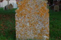 DSCF8153