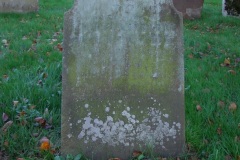 DSCF8160