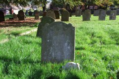 DSCF8176