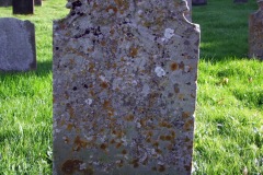 DSCF8183b