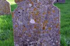DSCF8183e