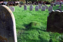 DSCF8184