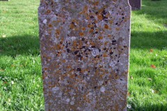 DSCF8186