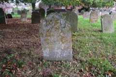 DSCF8188