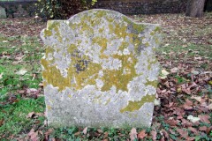 DSCF8240