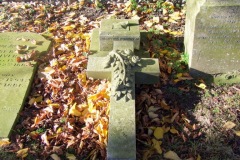 DSCF8342