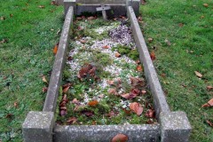 dscf8365