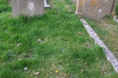 DSCF6783