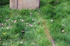 DSCF6882
