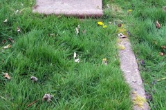 DSCF6890