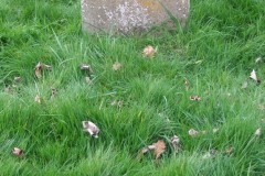 DSCF6892